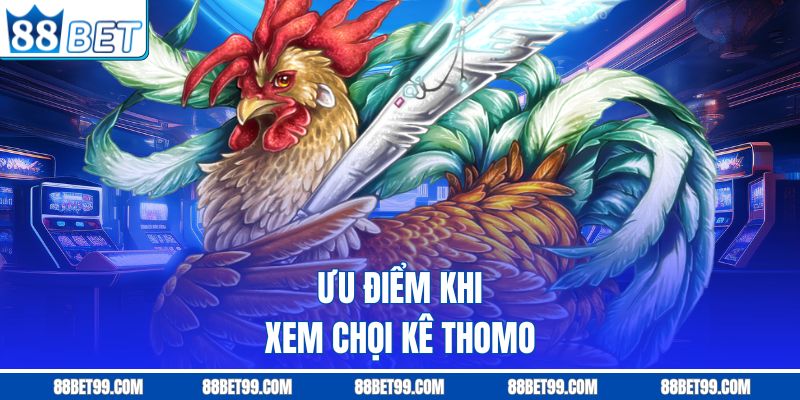 Ưu điểm khi xem chọi kê Thomo Ưu điểm khi xem chọi kê Thomo
